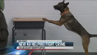 Taylor County Sheriff's Office gets new K-9