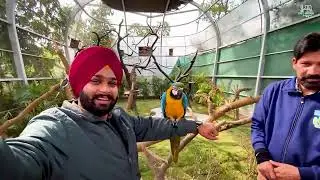 Bird Park ( Chandigarh) Tour | 17-02-2023  | Just Harrie Vlogs | Latest Vlogs 2023