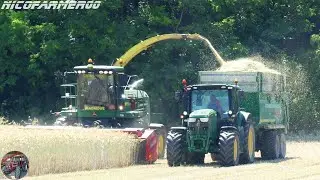 TRITICALE SILAGE 2021 | JOHN DEERE 7450i Pro Drive + CAPELLO SPARTAN 520 | JD TRACTORS | GIANSANTE