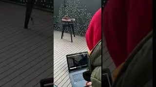 Arming the motors with a python script (dronekit)