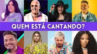 ADIVINHE QUEM ESTÁ CANTANDO #8