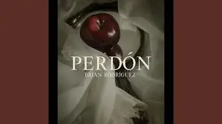 PERD&Oacute;N