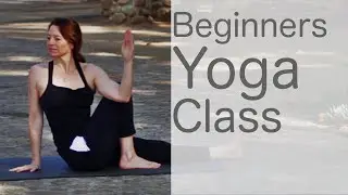 Yoga for beginners at home (30 min) free yoga class