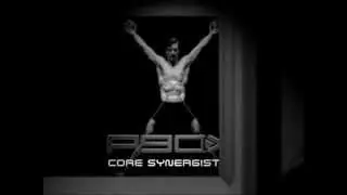 08 - CORE SYNERGISTICS INTRO