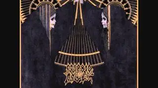 Morbid Angel - Too Extreme (Miss Contsruction by Chris Pohl)