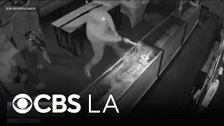 Smash and grab burglary caught on camera at Simi Valley trading card store