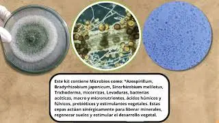 Tratamiento de efluentes con Smartbiotic