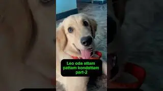 Leo oda attam pattam kondattam 🐶