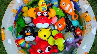 Изучайте морских животных с помощью увлекательных игрушек и настоящих морских обитателей: названи...