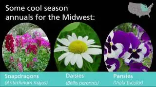 Springtime gardening tips for the Midwest