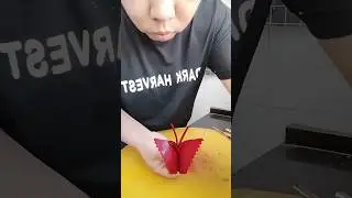 Beetroot butterfly |Beetroot butterflycarving | Beetroot garnish | #shorts#butterfly #art