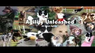 Agility Unleashed Dog Forum