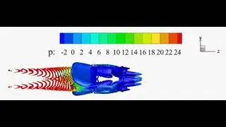 Vortex evolution within a self-excited oscillation collapsible blood flow