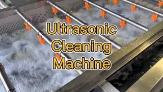 Automatic Bubble Washing Machine Line for Vegetables Fruits and Seafood Processing