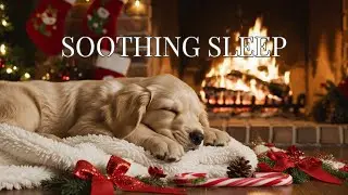 🔴 Gentle Sleep Therapy: Cozy Fireplace Ambience & Sleeping Puppy with Teddy 🧸💤