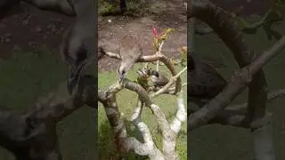 Getting along well