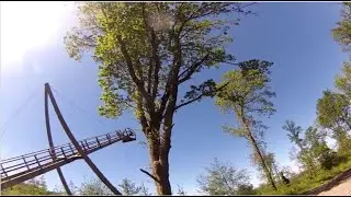 Reach for the clouds