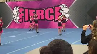 Sassy Cats Fierce!