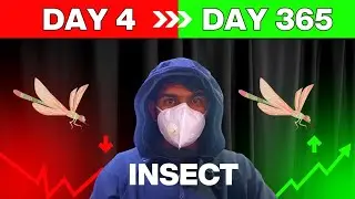 I found that cute insect #introvert #insects 
