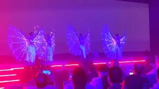#led #wings #uv #light #ambience #events #star #starynight