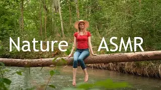 Cinematic NATURE ASMR - Relaxing Nature Sounds and Forest Adventures