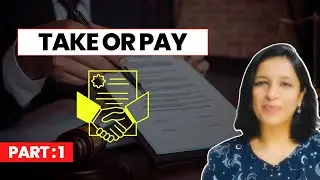 Take or pay Contract Clause: Introduction