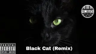 Rasha Rizq - Black cat OP ( Remix By Y.E Beats ft. Omar El Bagari )