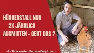 Hühnerstall nur 2x im Jahr ausmisten geht das ? Deep Litter a‘la @SelbstversorgerRigotti einstreuen