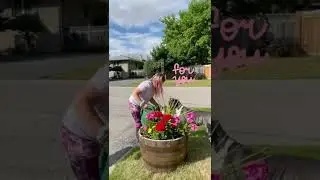 Sweet dog picks a flower for her best friend!