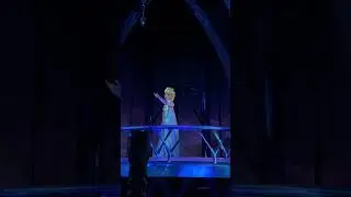 The Tragic Malfunction of Elsa's Frozen Ride