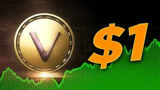 VECHAIN ​​РАСКРЫВАЕТСЯ ПО-КРУПНОМУ! ПЕРВАЯ ФАЗА VET POA 2.0 УЖЕ СЕГОДНЯ В ТЕСТОВОЙ СЕТИ!
