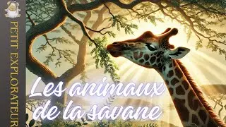 Les animaux de la savane 🦁l petit doc pour enfant :🌍l tout sur la savane🐆 petit explorateur🐾
