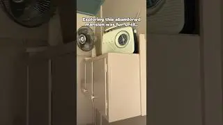 Исследовать этот заброшенный особняк было весело, пока&hellip; #заброшенный #urbex #заброшенныеместа