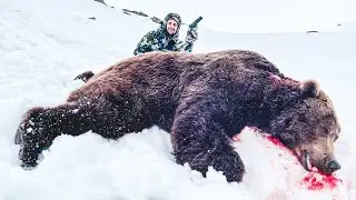 3 HOURS OF BEAR ATTACK STORIES THAT WILL LEAVE YOU SHOCKED!