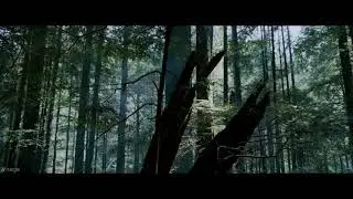 Wolverine vs Spike - Forest Fight Scene