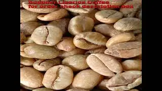Liberica Coffee Farms - We Coffee Supplier From Indonesia Whatsapp +62822 2221 1225