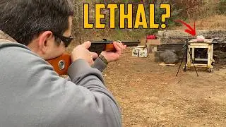 Может ли пневматический пистолет Red Ryder быть смертельно опасным?