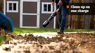 WORX 40V Blower