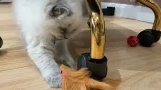 Fluff ball
