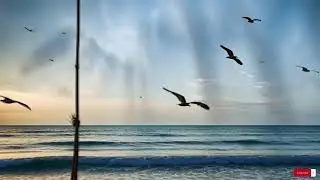 Reggae Music Mix 2025  😍  Best Reggae Love Beach Songs ,Top Reggae Special Relax 187