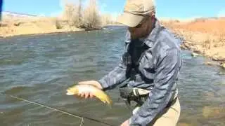 River User Rules