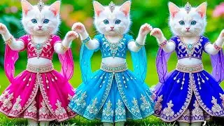 Cosmic Cats Song  - The Singing Cat Catchy Tune #funnycats #dancingcat