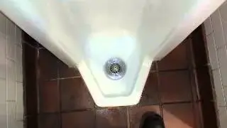 Bathroom Tour: Kohler Branham urinal and toto toilet in a restaurant.