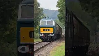 Class 35 D7017 Heading to Dunster Station | West Somerset Railway | 27th Sept 2025
