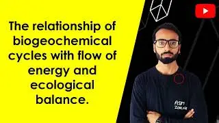 The relationship of biogeochemical cycles with flow of energy and ecological balance.