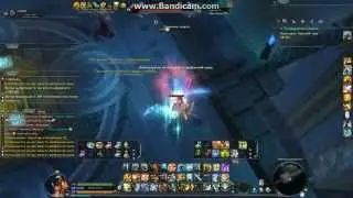 aion DS solo(ru+) SW