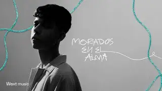 Diego Herran - Morados En El Alma (Visualizer)