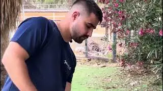אילוף כלבים בחיפה והקריות | KevDog