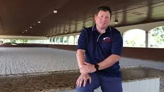 Sanitizing Tips for Safe Horse Transport: Keeping Your Van Clean and Safe