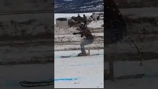 Skijoring in Whitefish, Mt. Talk about a thrill!!! #horses #skijoring #adrenaline #ski
